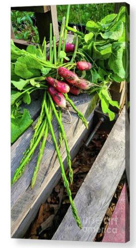 Screenshot_20260223_105141_Brave