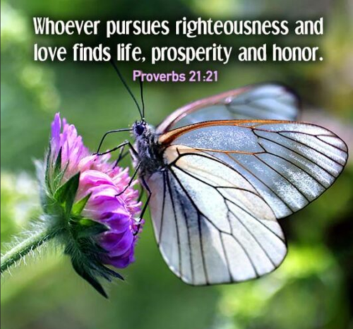 Screenshot_20260224-101149-350