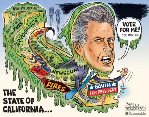 ben garrison gavin newsom vote