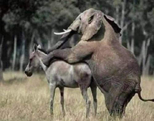 7F550BD1-F834-4F17-943E-49D5AAAC5473