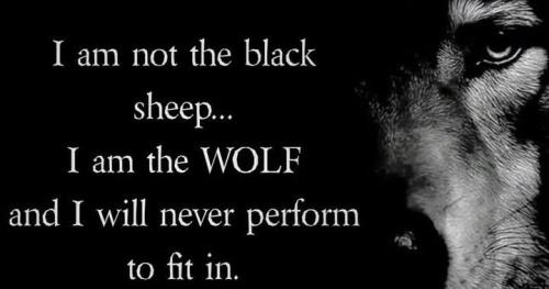 IMG_20260209_195510_186