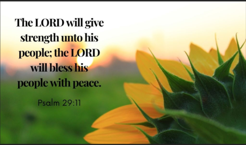 Screenshot_20260203-133312-951