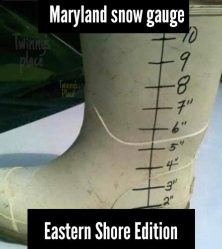 Screenshot_20260220_183841_Gallery