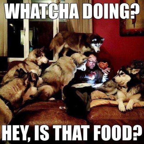 9b9028ad051f293ec1f313b6aa60a184