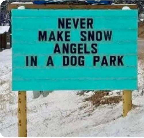 Screenshot_20260131_191921_X