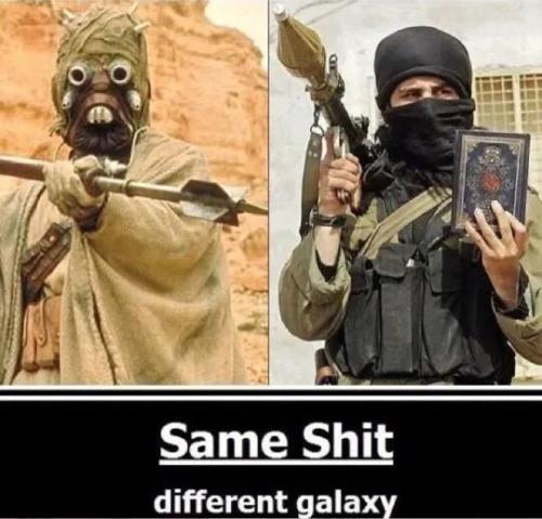 TESTHUB_photos_users_KPBY8Tc46ldqLjWXf6bqxqOW3AR2_-OkPd4E-H30AHw_AIQtT_img_rsz__1100x1100