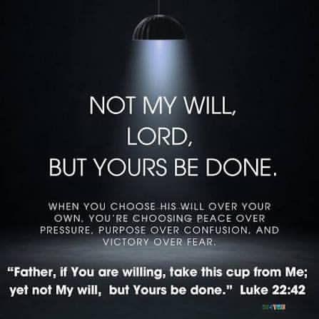 IMG_20260209_195951_633