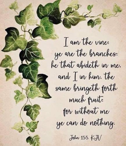 5008ab37-9e8f-4113-b68b-140f3c8045e6