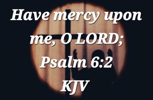 795c1366-01d7-47be-ad57-b0030971949c