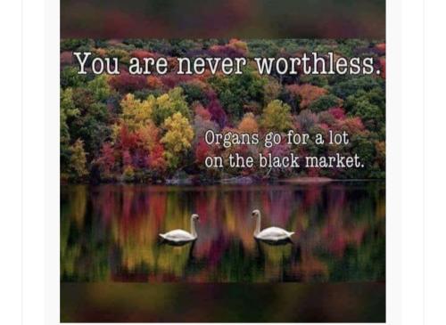 Screenshot_20260203_091340_Outlook