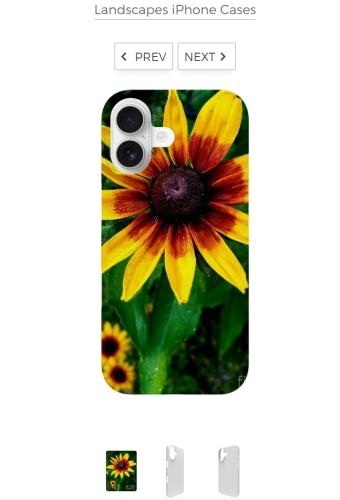 Screenshot_20260221_112042_Brave