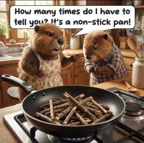 SimPm13DNG3mYfP4PQXB_23_9e33698e62faf359290a62ccfb7cb173_image