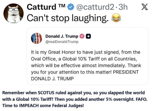 Catturd can't stop laughing