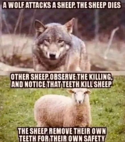 d3489b26-92f2-4add-8b12-a6668f560d66