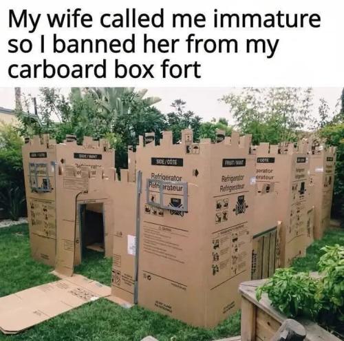 wife-calls-me-immature