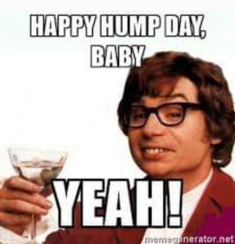 Screenshot_20260204_081145_Gallery