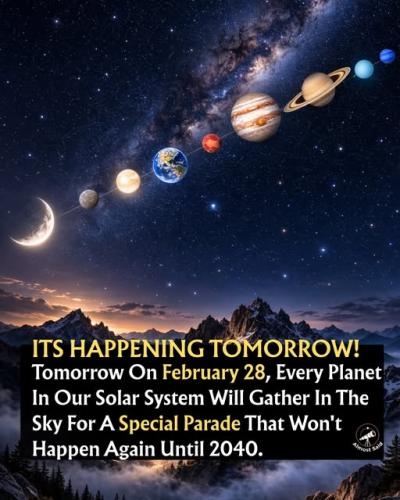 ,                             ,    ,