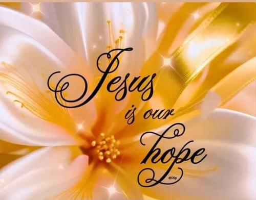 17709813290131202691002723428007_536609274257900