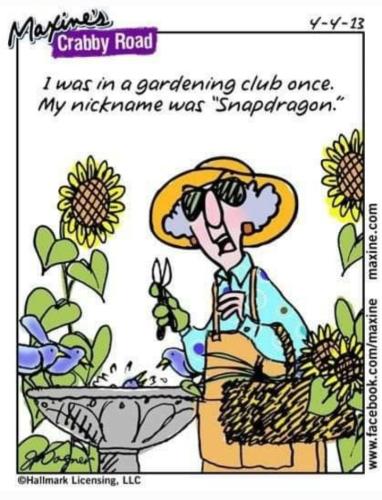 Screenshot_20260217_070930_Gallery