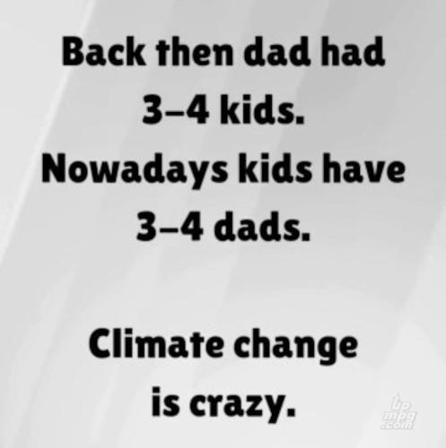 main-qimg-649c71385265dcc36faf92bfce4f435b