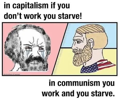 TESTHUB_photos_users_KPBY8Tc46ldqLjWXf6bqxqOW3AR2_-OmMp9cx56kFWpgR3JAw_img_rsz__1100x1100