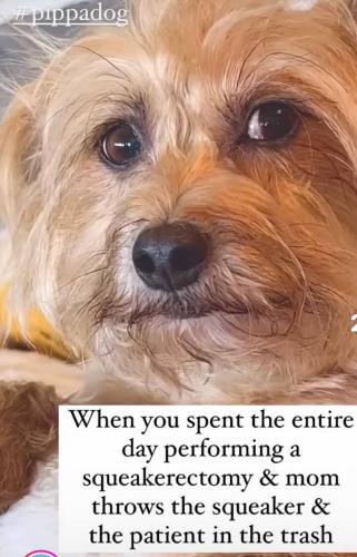 IMG_20260209_185511_319