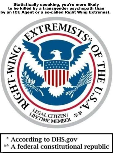 ICE Transgenders and murder statistics.768px