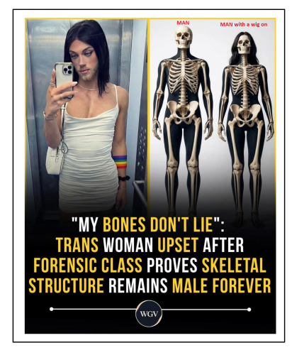 my bones dont lie