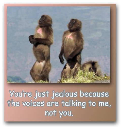 image_4FEA5FC9-E4FE-438A-8174-70C0C0870C2F