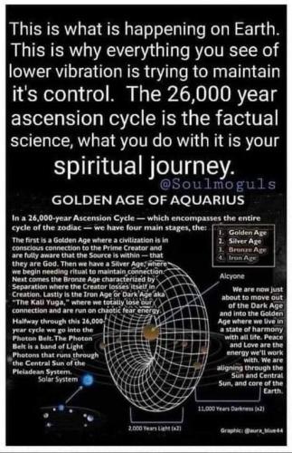 ,      ,     423131509_31904032113