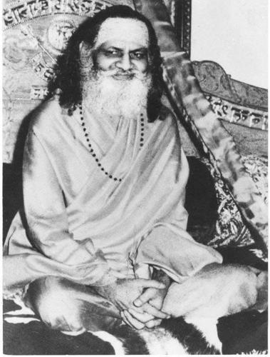 ,       ,        423193798_7468111