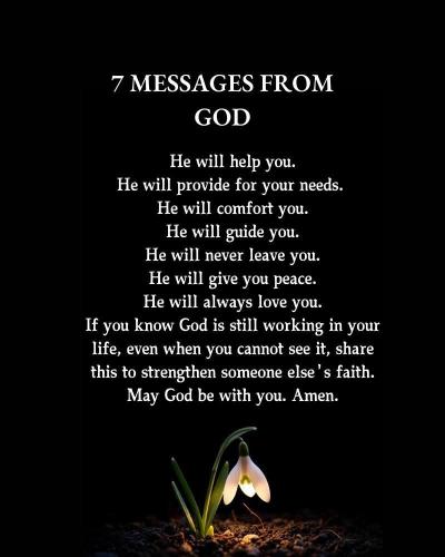 ed5dab93-ec9d-465b-8436-70a585414248-1_all_13264