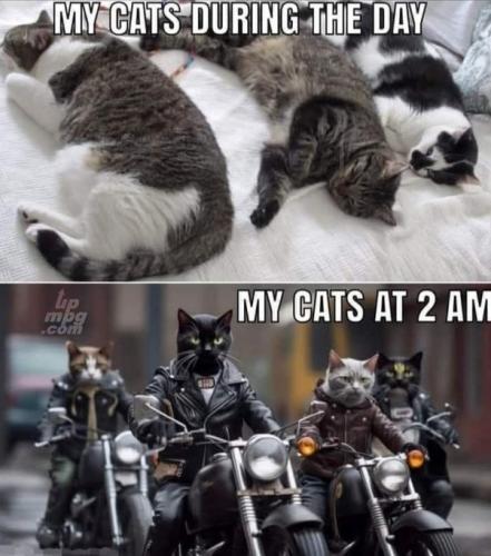 main-qimg-2c9be223afd1f373ea2afb3550721350