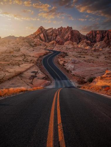 RDT_20260209_1642271844828107972824151