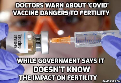 VACCINE-FERTILITY-IMAGE