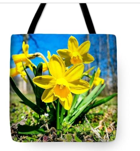 Screenshot_20260210_110324_Brave