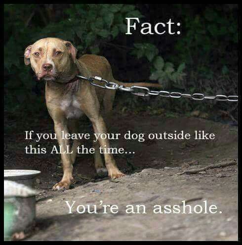 7fc7a7a737a22e4eb01d553891ac421c