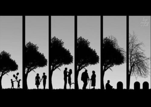 main-qimg-c240f9421666ce88410a8697040ad597-lq