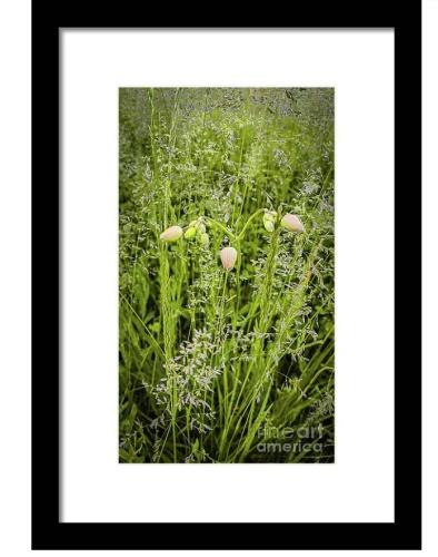 Screenshot_20260222_164854_Brave