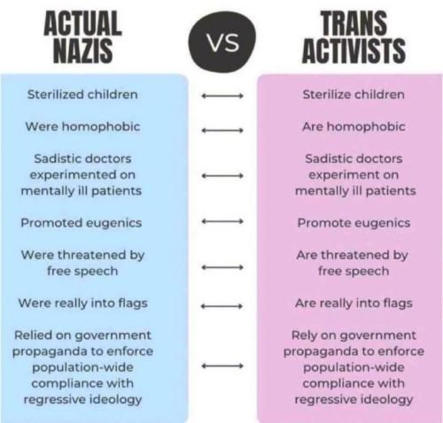 image_AC9FC1AF-CE38-477B-BD2F-636A5F15B332