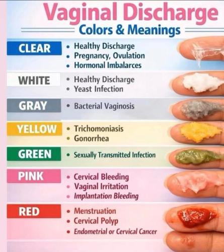 IMG_20260224_190428_647