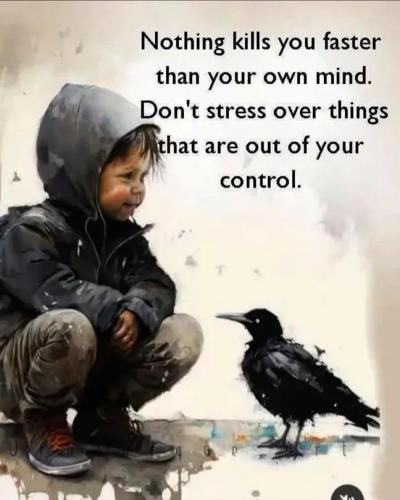 17585632730933306138504550804732_189685374742326