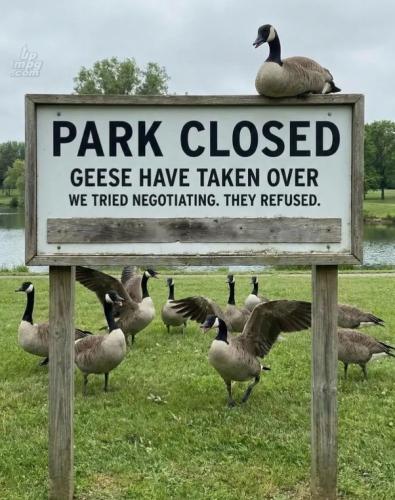 main-qimg-3c193a1203fc2dd618edd1469db0426c