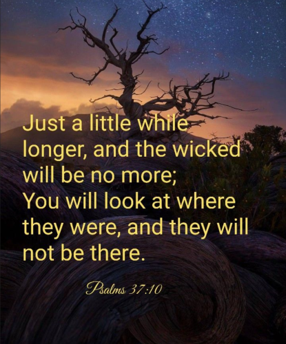 Screenshot_20260207-134722-129