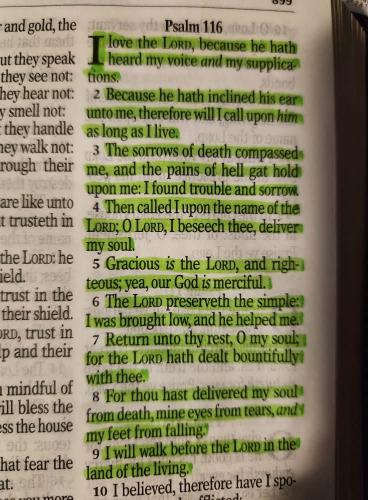 FB_IMG_1771685291573