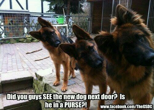 b3c0cae24dc937592a1f7cd456b42ae8