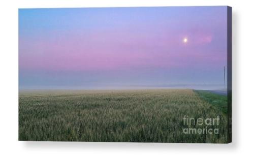 Screenshot_20260211_134709_Brave