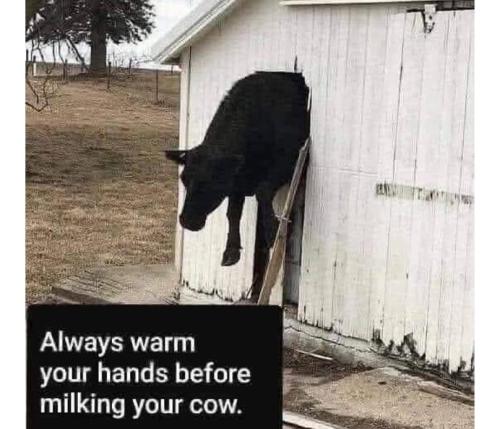 e19d34b6-c0a0-4538-abde-40bccf7fe9d9