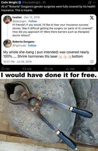 Gender Bender at Your Service.1200px