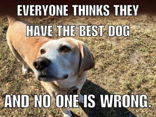 ab1f4fd964e03406928711758f68ec0b